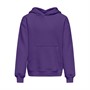 Only Sweats à Capuche Every Fille Violet