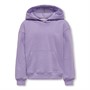 Only Meisjes Every Hoodies Lichtpaars