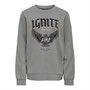 Only Jongens Luca Swea Sweaters Grijs
