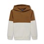 Only Jungen Gilbert Block Kapuzenpullover Braun