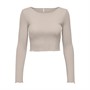 Only Dames Daise Lange Mouw Korte Top Steenkleur
