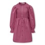 Only Piger Ida-Aspen Smock Kjoler Rød