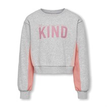 Only Sweatshirt met lange mouwen Meisjes Gemma Life Block Zilver Roze