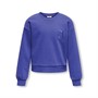 Only Sweatshirt Fiona Life Blå Klemmatis Piger