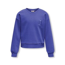 Only Sweatshirt Fiona Life Clematis Blauw Meisjes