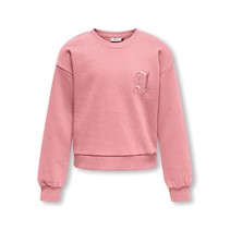 Only Piger Fiona Life Sweatshirt Rose Elegance