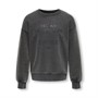 Only Piger Xenia Life Sweatshirt Sort Bønne