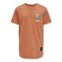 Only T-shirt Sherman dla chłopca kolor Sierra