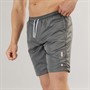 883 Police Mens Oakhanger Swim Shorts Stone Grey