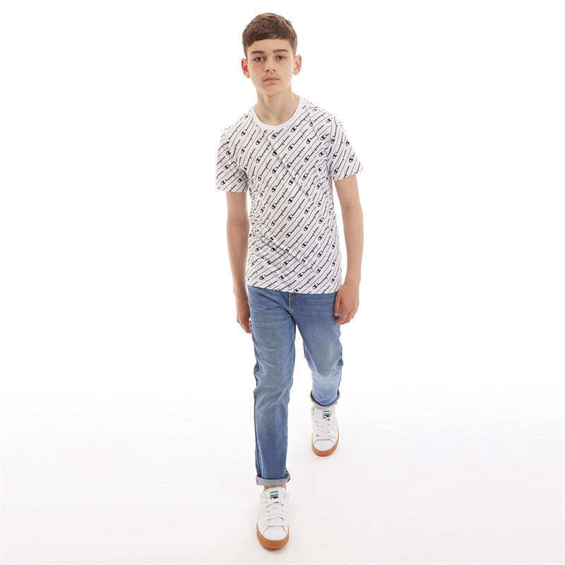 Champion Junior Boys Crew Neck T-Shirt White