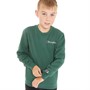 Champion Boys Rochester Script Logo Crew Neck Sweatshirt Green
