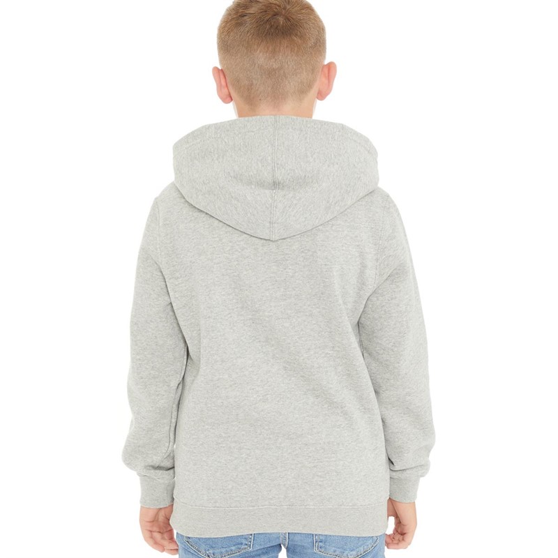 Champion Boys Rochester Script Logo Hoodie Grey