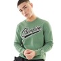 Champion Mens Rochester College Logo Crew Neck Sweatshirt Green