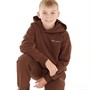 Champion Boys Rochester Small Logo Hoodie Brown