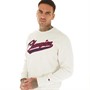 Champion Mens Rochester College Logo Crew Neck Sweatshirt Grey
