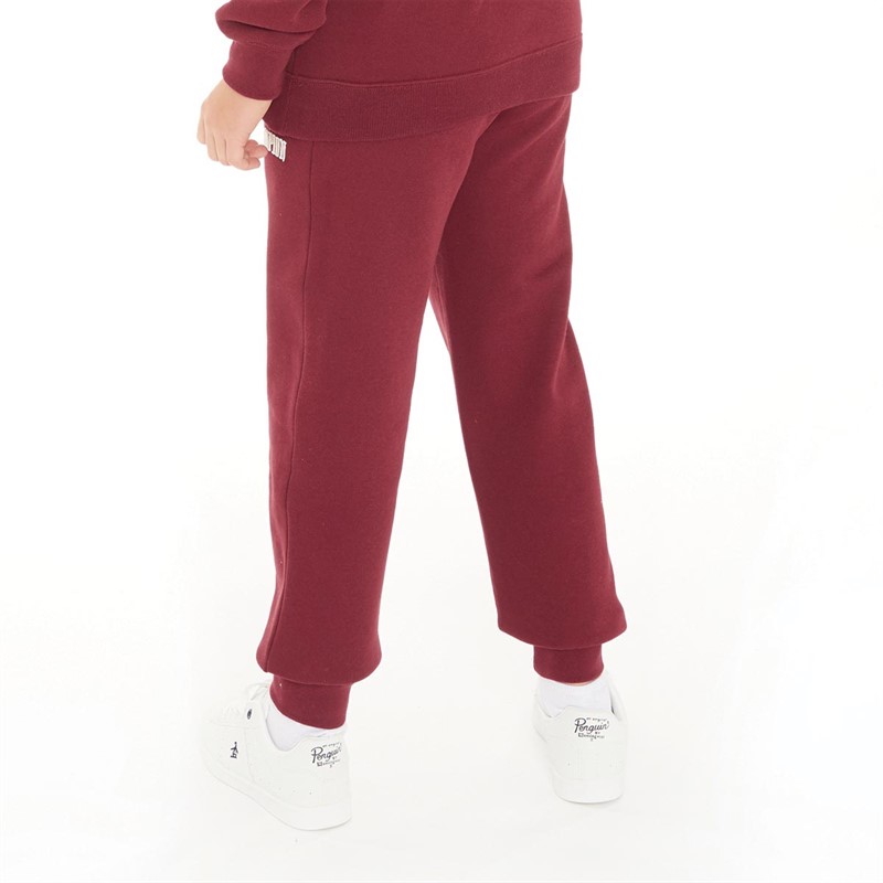 Champion Boys Rochester Bookstore Logo Cuffed Pants Red