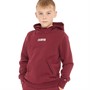 Champion Boys Rochester Bookstore Logo Hoodie Red