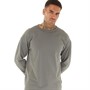 Champion Mens Premium Plus Long Sleeve Crew Neck T-Shirt Grey