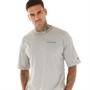 Champion Mens Rochester Script Logo Crew Neck T-Shirt Grey