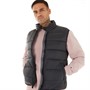 Champion Weste Herren mit Polsterung Schwarz