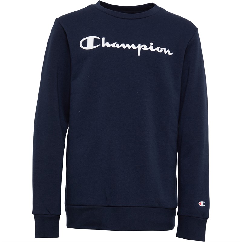 Champion Drenge Script Logo Sweatshirts Blå