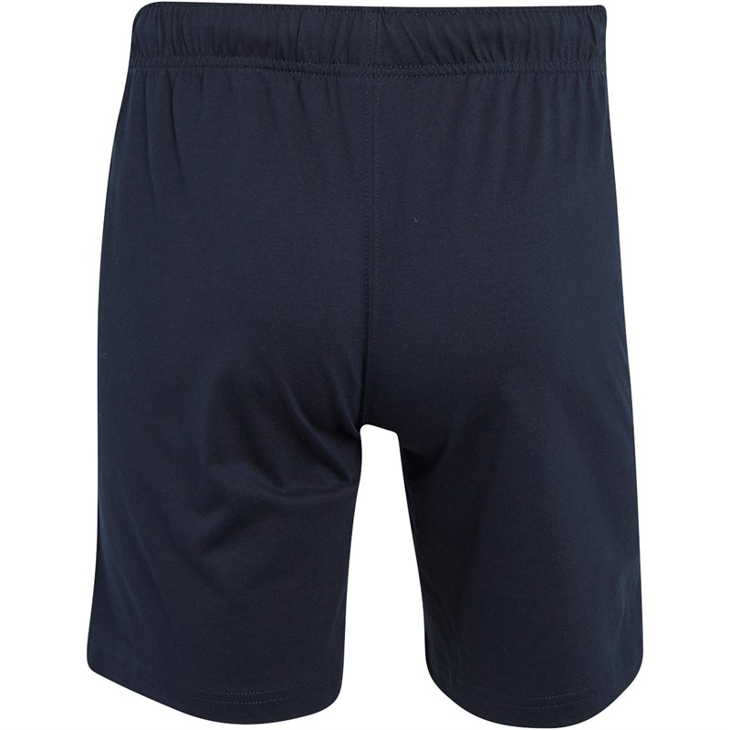 Champion Herre Authentic Script Logo Shorts Marineblå