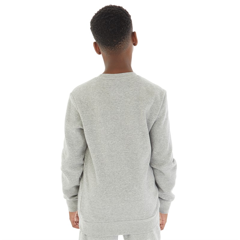 Champion Drenge American Classics Logo Sweatshirts Grå