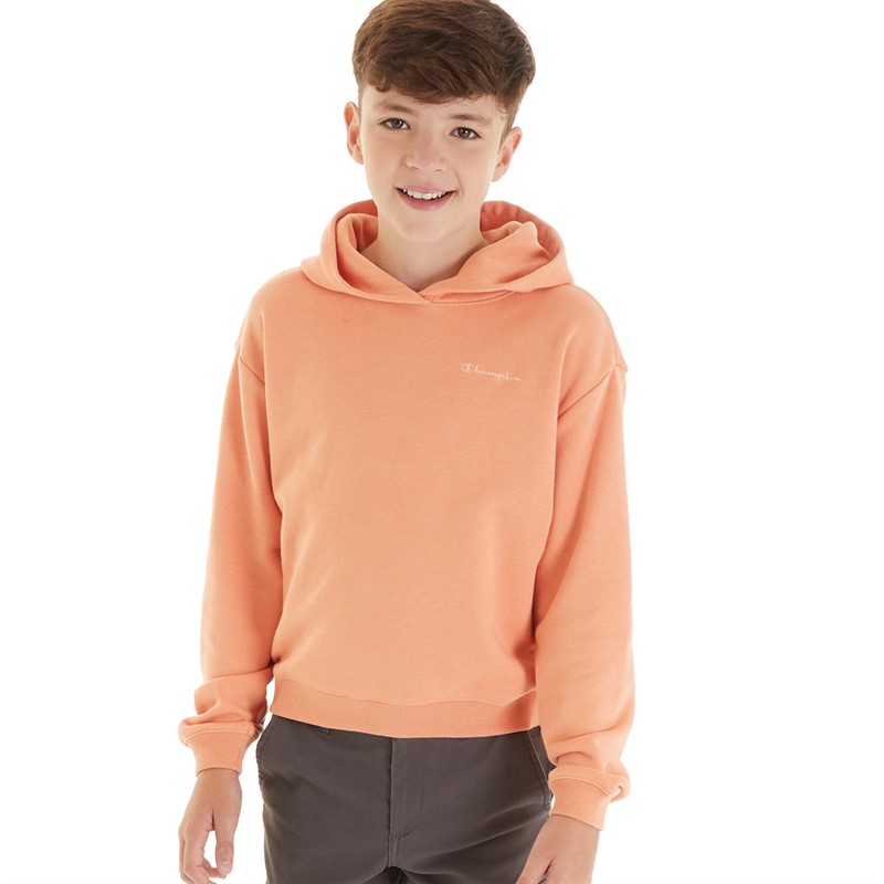 Buy Champion Junior Boys Eco Future Hoodie Orange