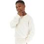 Champion Junior Jongens Rochester Eco Future Klein Logo Ronde Hals Sweatshirt Wit