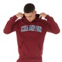 Champion Mens Rochester Collegiate Logo Hoodie Red