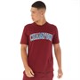 Champion Mens Rochester Collegiate Logo Crew Neck T-Shirt Red