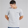 Champion Mens Graphic Shop Logo T-Shirt Heather Grey