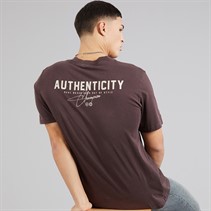 Champion Mens Icons Washed Graphic Back T-Shirt Brown