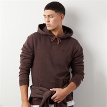 Champion Mens Icons Washed Logo Hoodie Brown