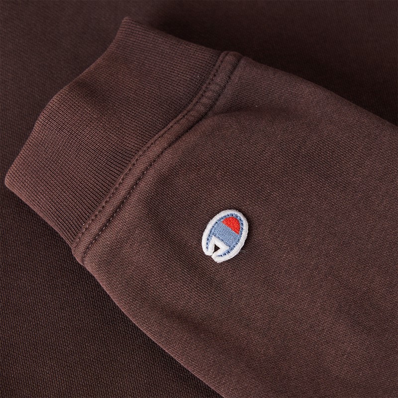 Champion Mens Icons Washed Logo Hoodie Brown