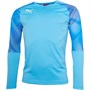 Puma Mens Cup Long Sleeve Goalkeeper Jersey Aquarius/Fuchsia Purple
