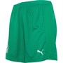 Puma Womens FIF Ivory Coast Shorts Pepper Green/Puma White