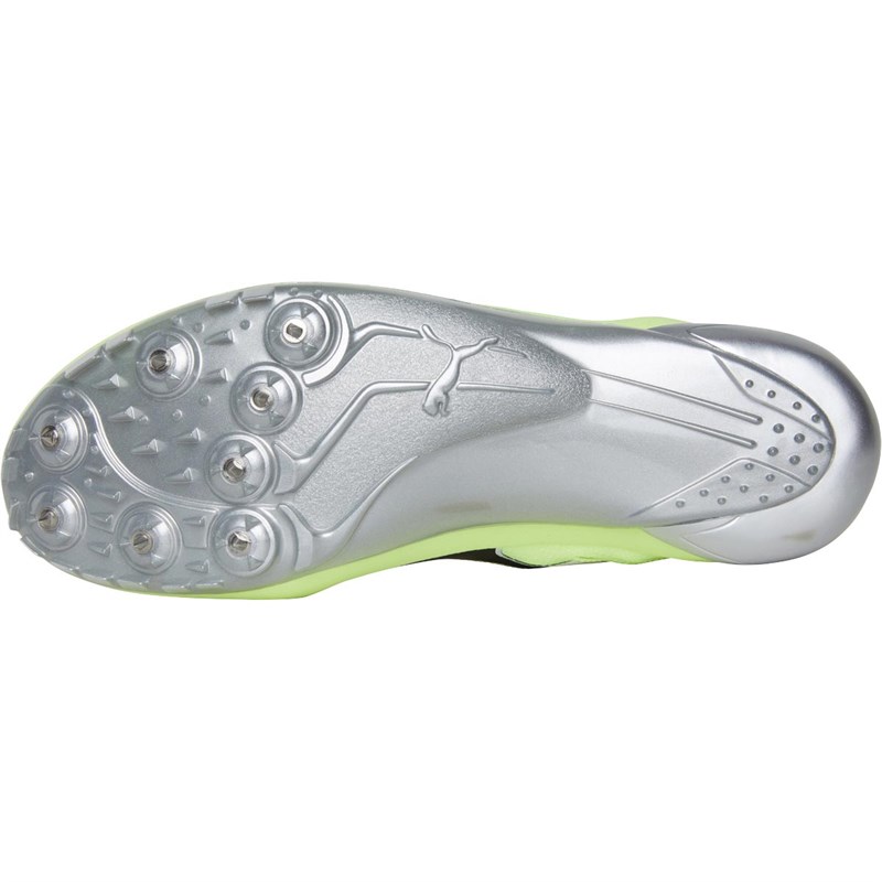 puma evospeed netfit spikes