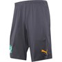 Puma Short de Foot FIF Ivory Coast Homme Gris