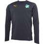 Puma Mens FIF Ivory Coast Training Sweat Asphalt