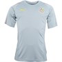 Puma Mens GFA Ghana Training Jersey Quarry/Quarry