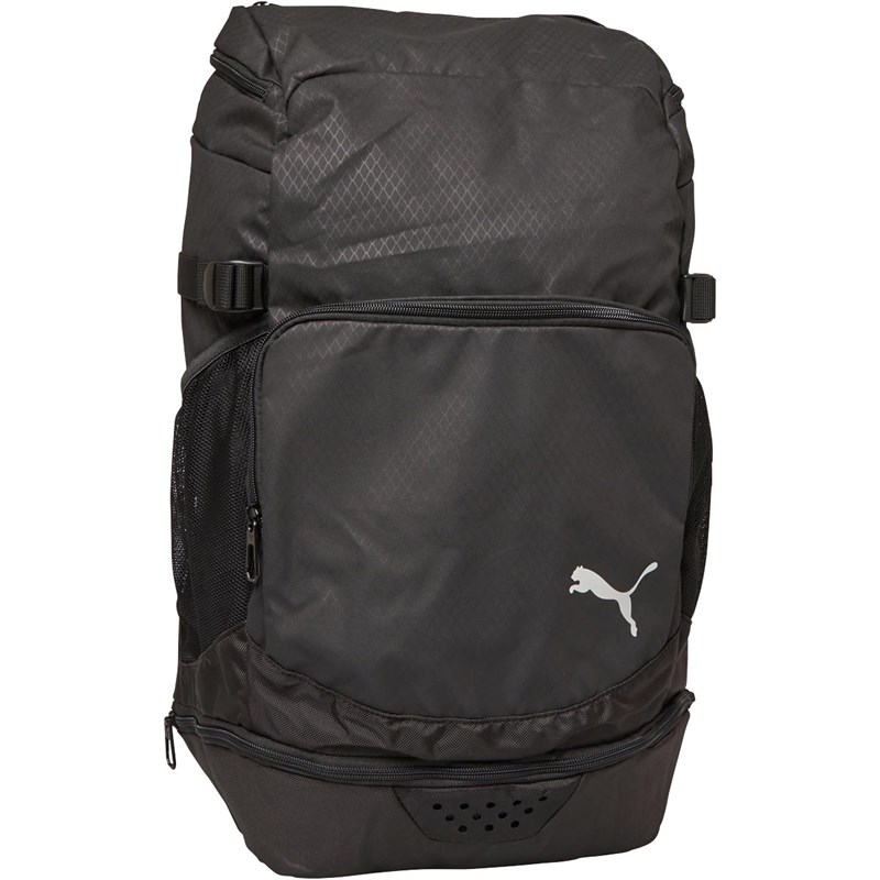 fiorelli brown backpack