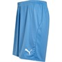 Puma Mens Liga Core Shorts Silver Lake Blue/Puma White
