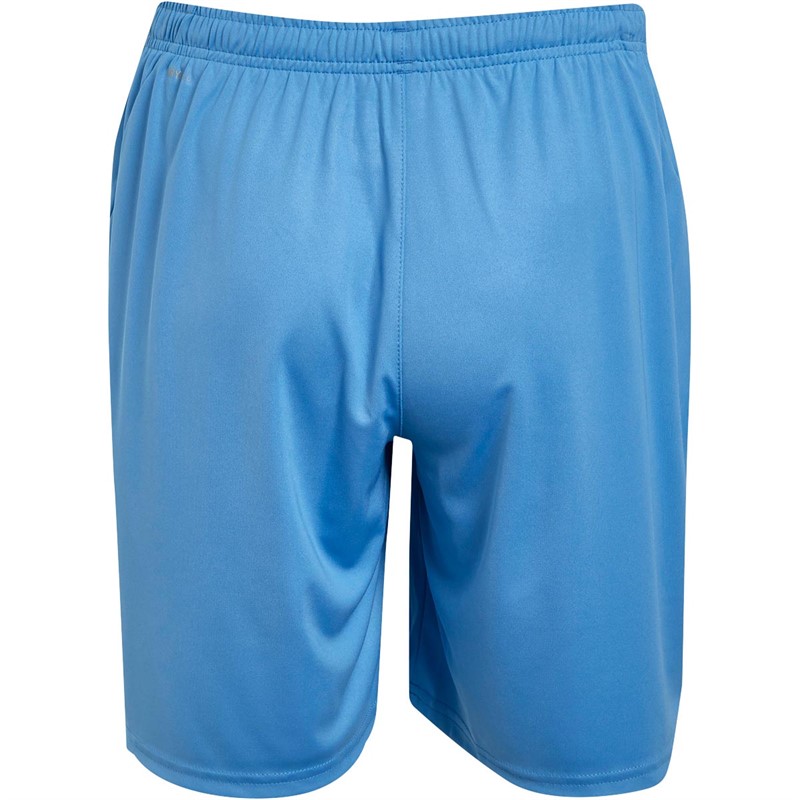 Puma Mens Liga Core Shorts Silver Lake Blue/Puma White