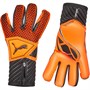 Puma Gants de Gardien Future Grip 2.1 Homme Multicolore