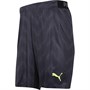 Puma Mens Ftblnxt dryCELL Graphic Shorts Grey/Yellow