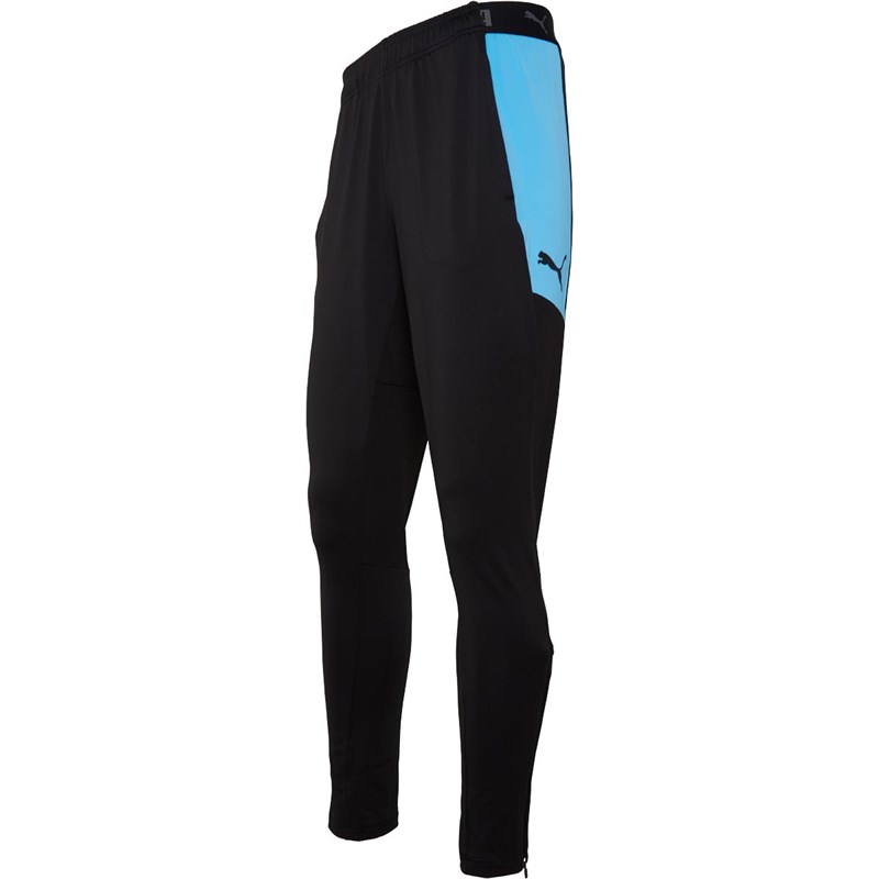 puma ftblnxt sweat track pants