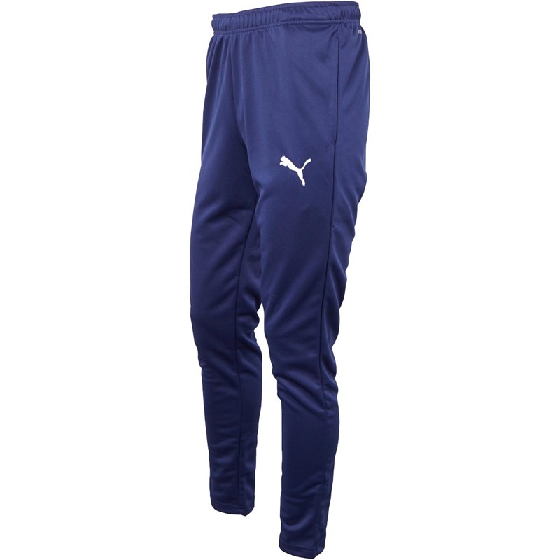 puma pipeline training pants