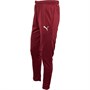 Puma Pantalon d'Entraînement Ftblplay dryCELL Homme Rouge