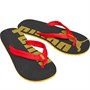 Puma Tongs Epic V2 Homme Multicolore